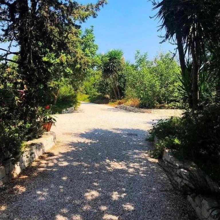 Mater Bed & Food-Riserva Naturale Di Torre Guaceto Serranova Exterior photo